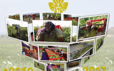[:en]Corporate Newsletter, Dec 2017[:am]ዜና መፅሄት ፣ ታህሳስ 2010[:]